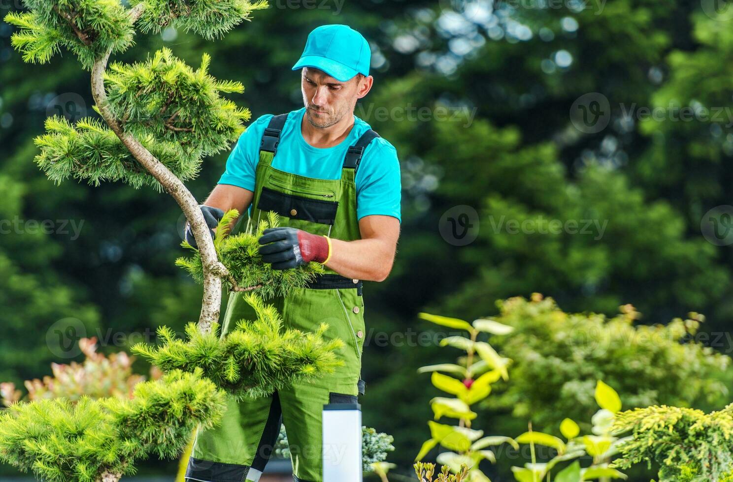 Summer Garden Works photo