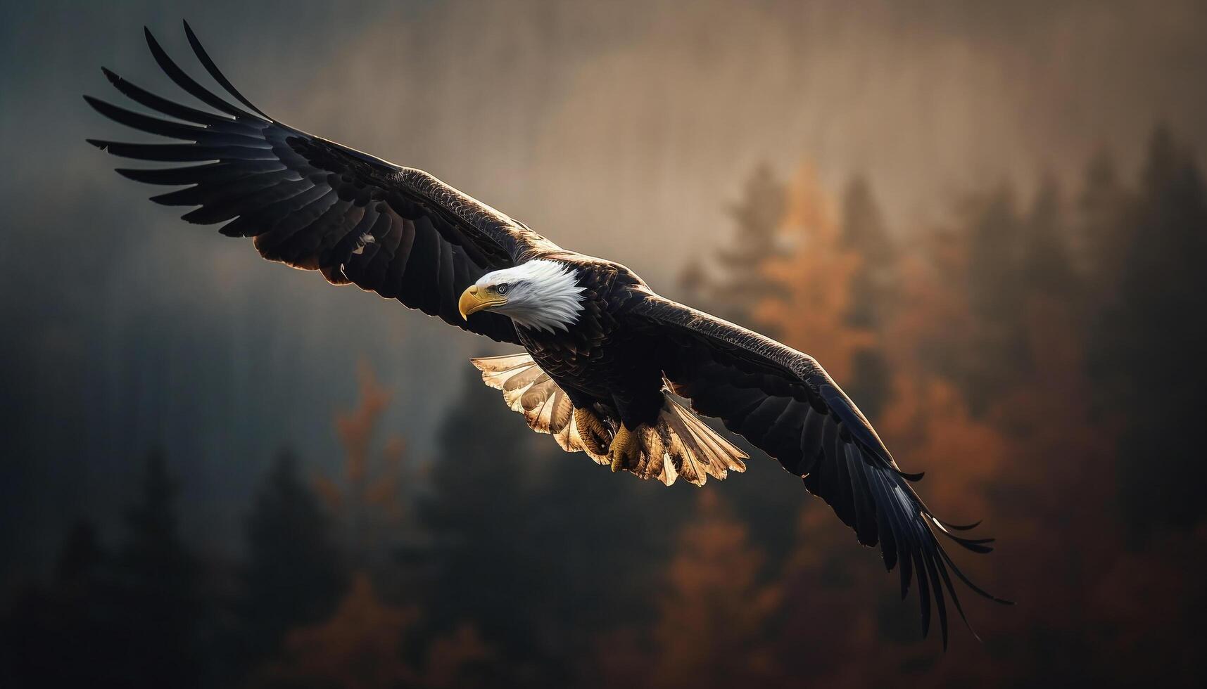 Bald eagle flying mid air, spread wings, focus on foreground generated by AI photo