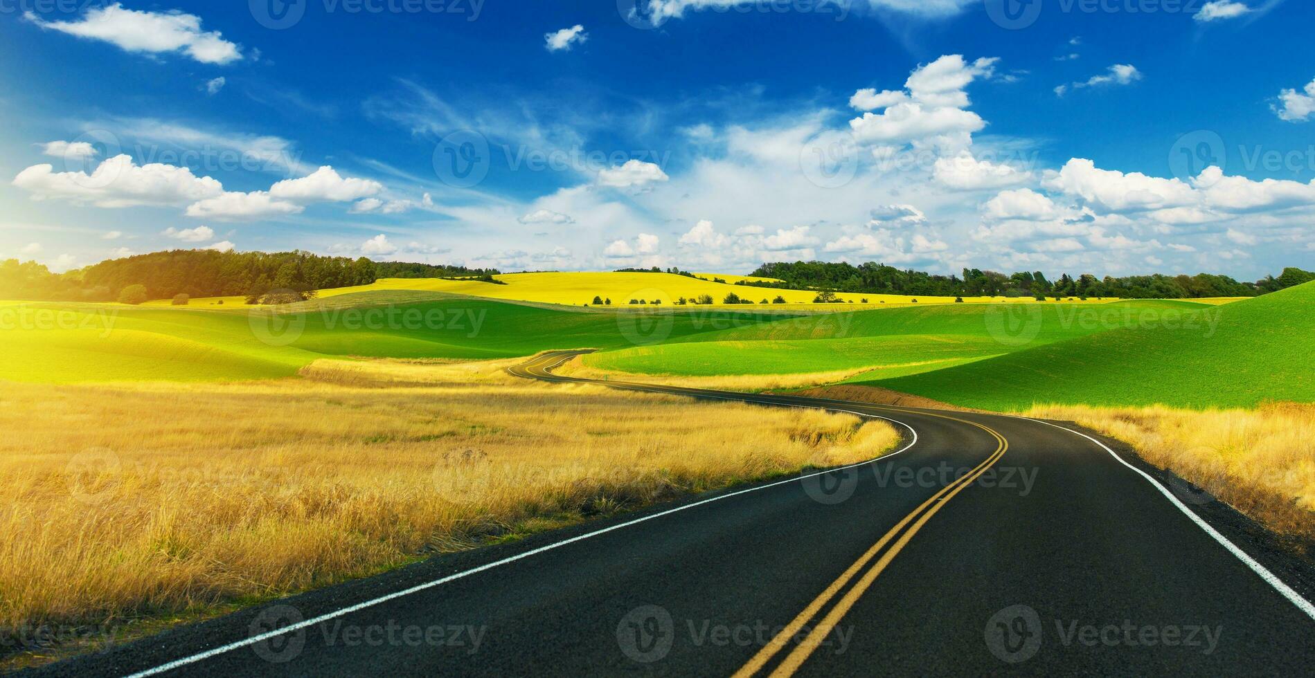 Scenic Summer Road Drive photo