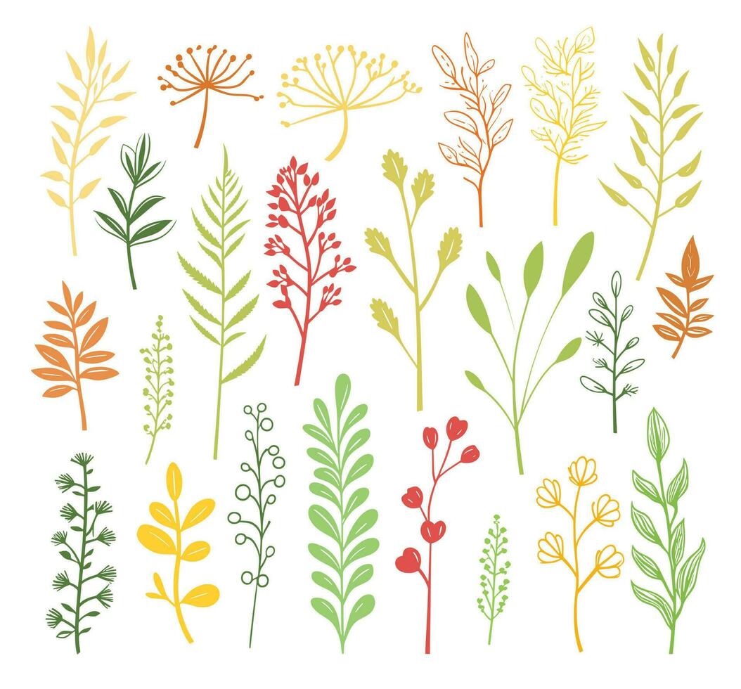 beautiful flowers leaves and twigs vector