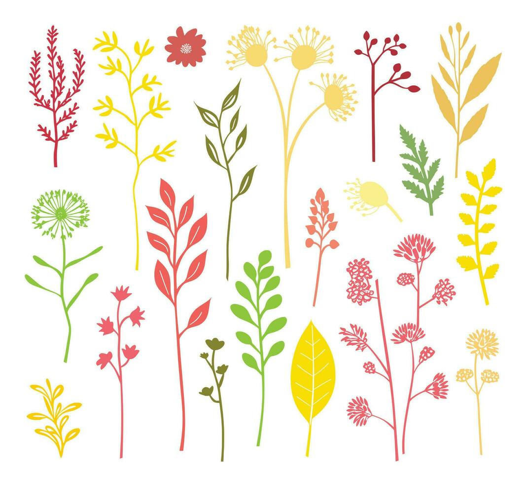 beautiful flowers leaves and twigs vector