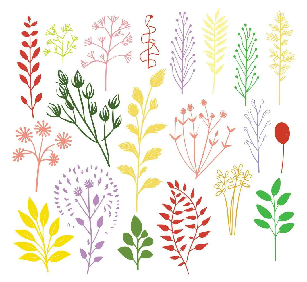 beautiful flowers leaves and twigs vector