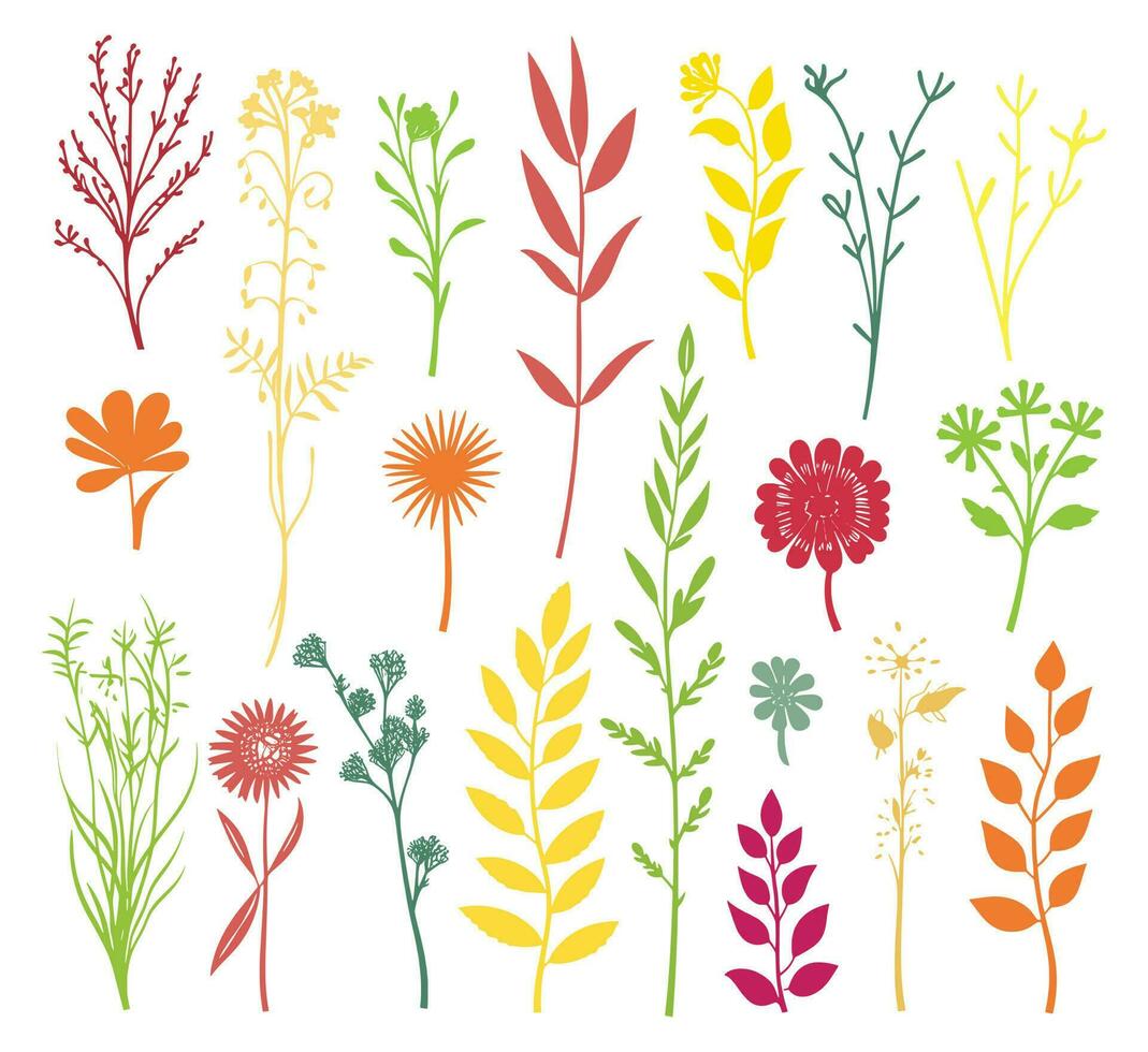 beautiful flowers leaves and twigs vector