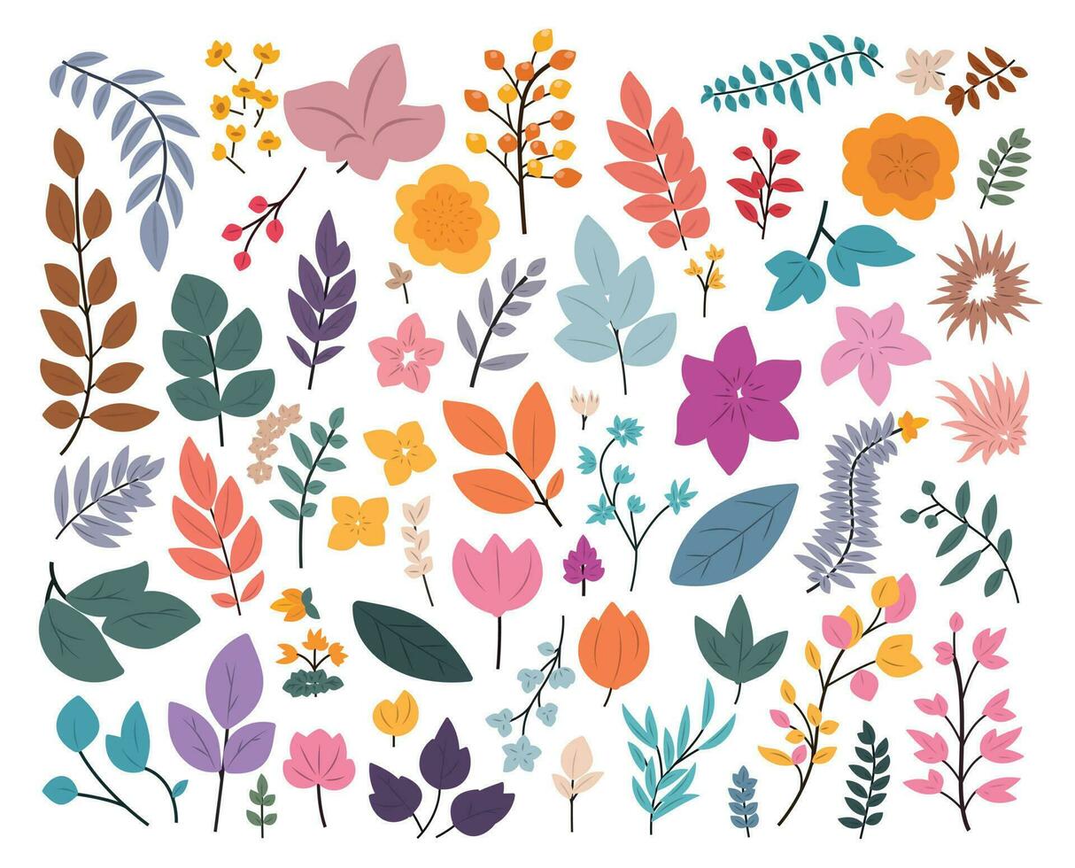 beautiful flowers leaves and twigs vector