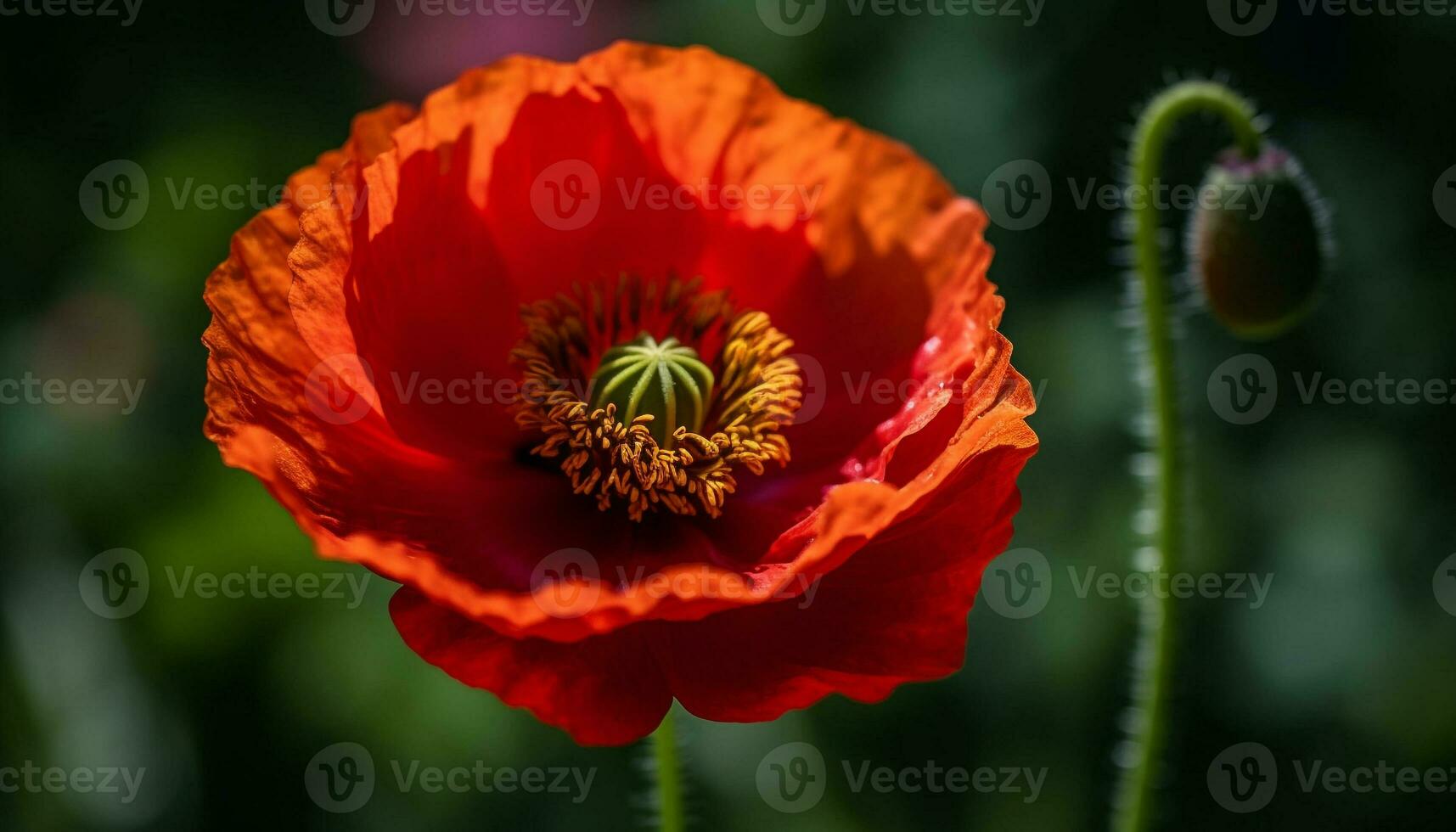 Vibrant wildflowers bloom in meadow, showcasing nature fragility and beauty generated by AI photo