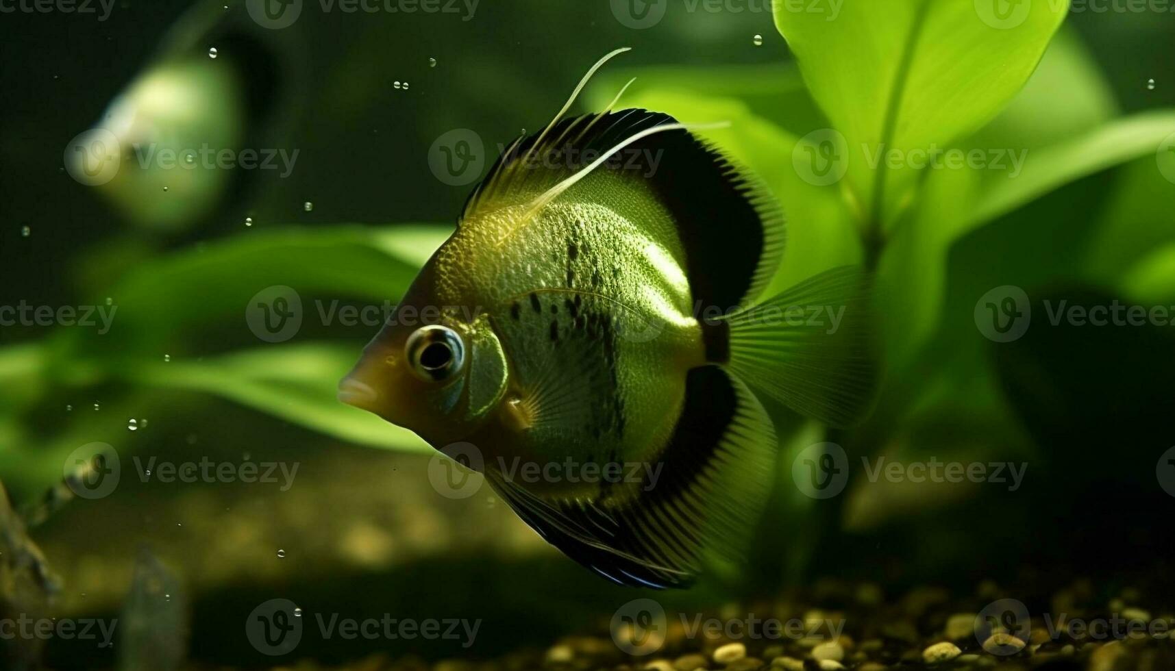 Multi colored fish in tropical reef, beauty in nature underwater generated by AI photo