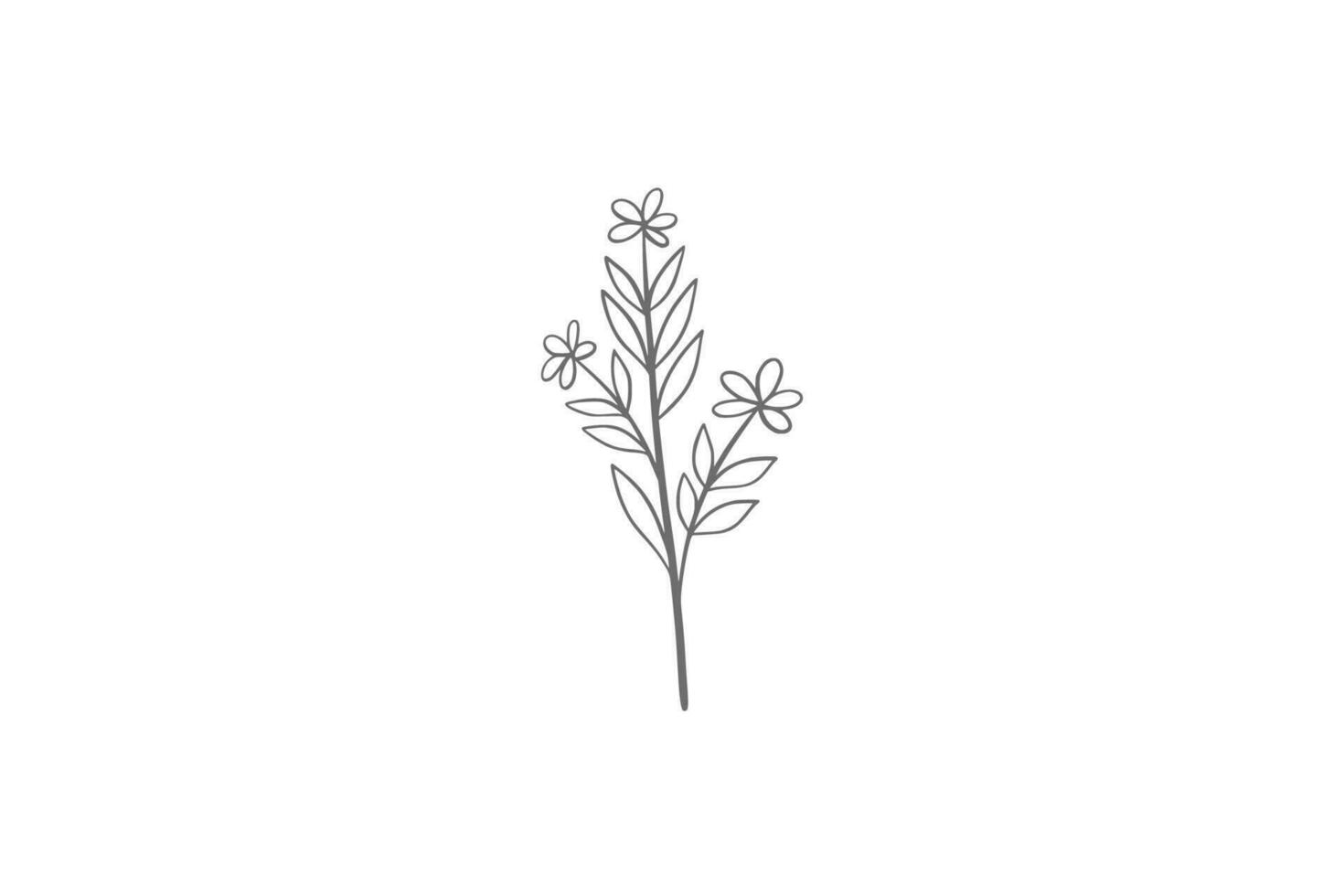 eucalyptus line art illustration vector