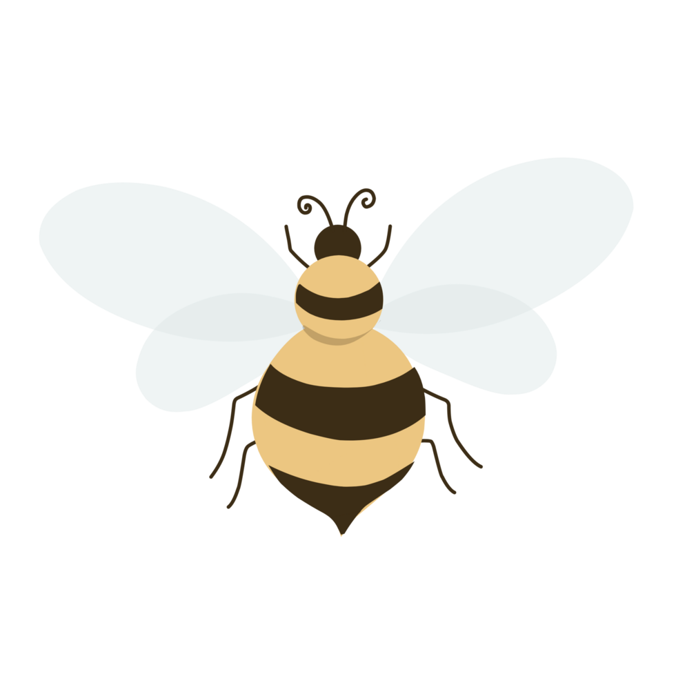 Cute honey bee png
