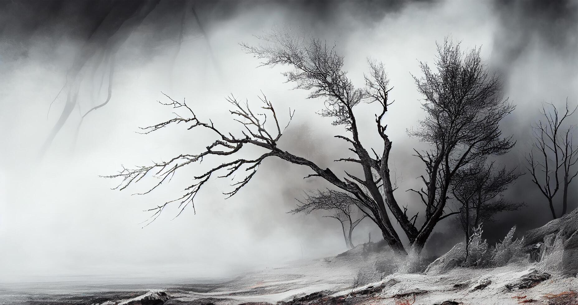 Spooky forest dark sky fog dead plant , photo