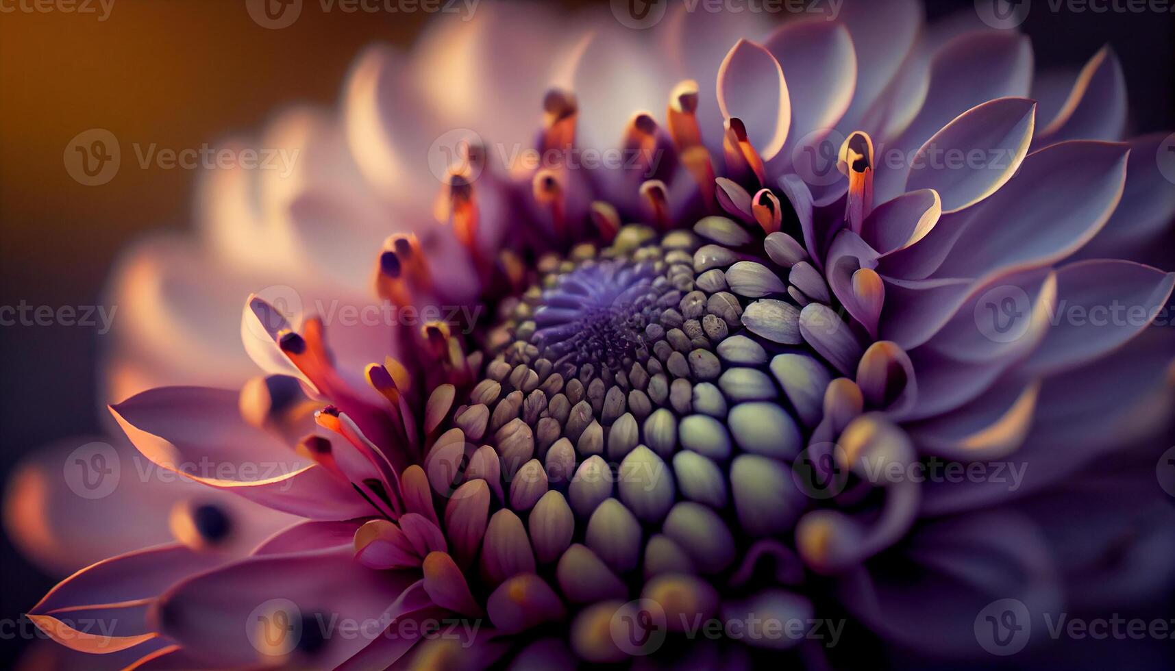 Close up of single flower in vibrant purple , photo