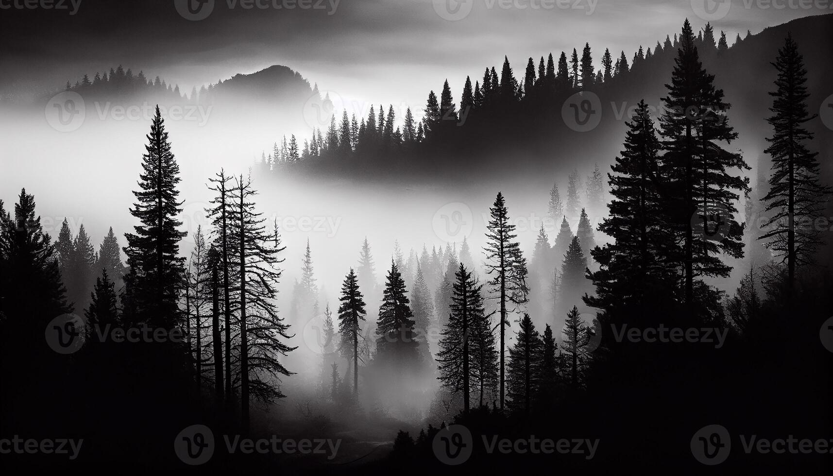 Mysterious forest silhouette tranquil scene black and white , photo