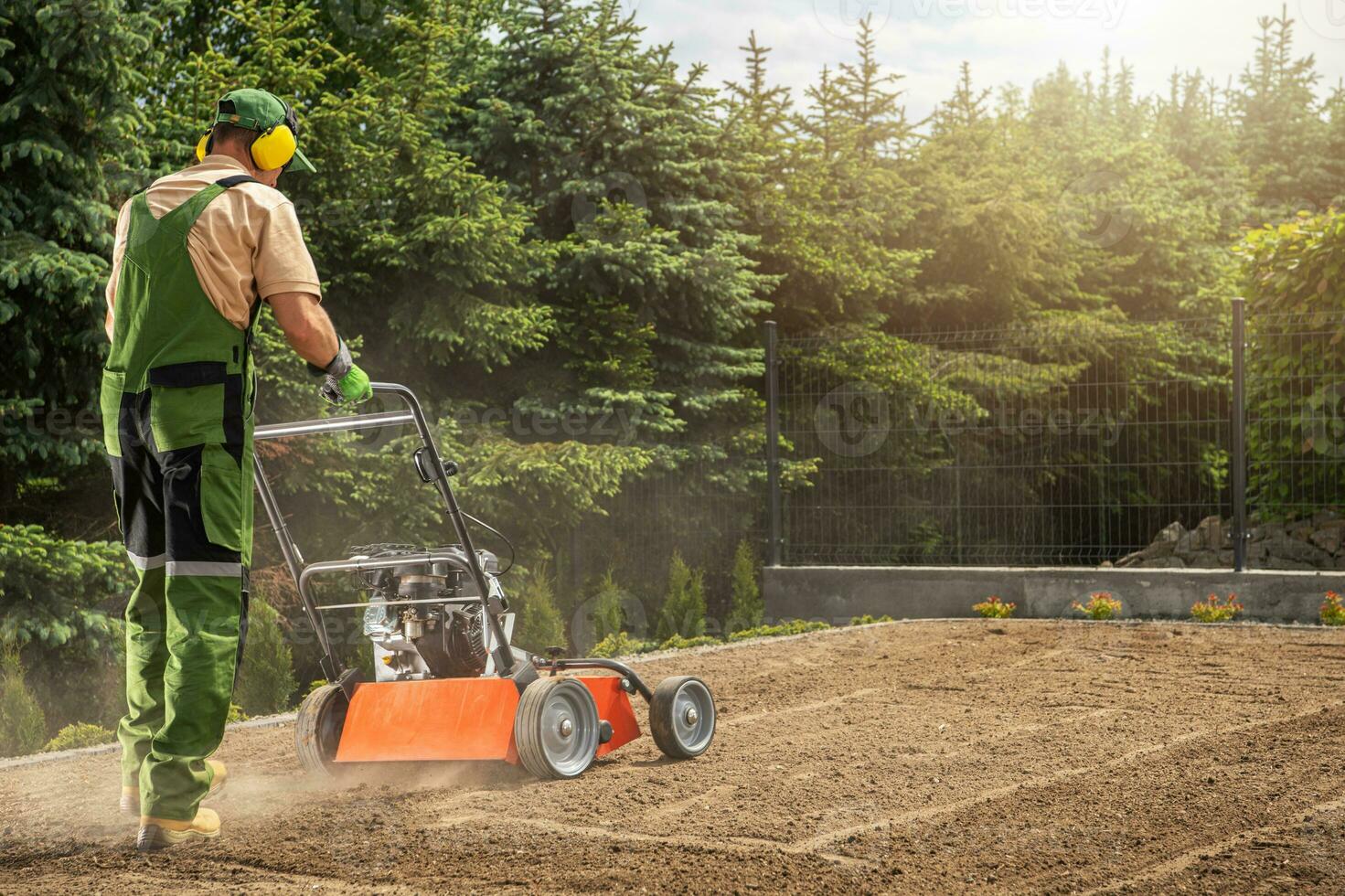 Professional Gardener Aerating Backyard Lawn photo