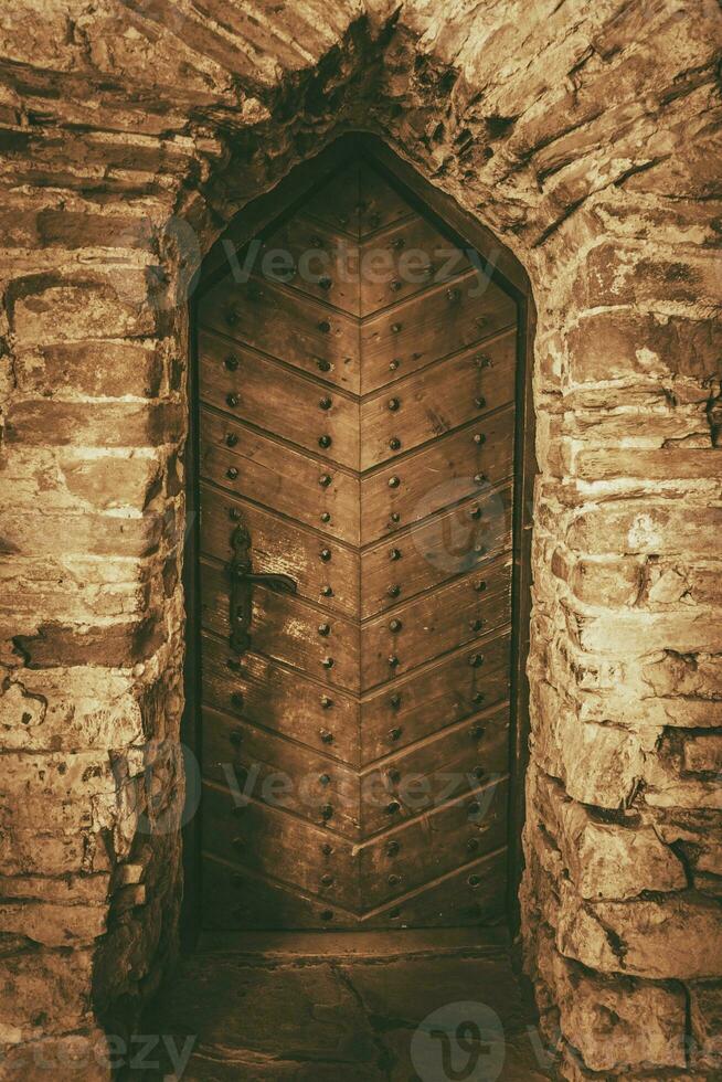 Vintage Wooden Castle Door photo