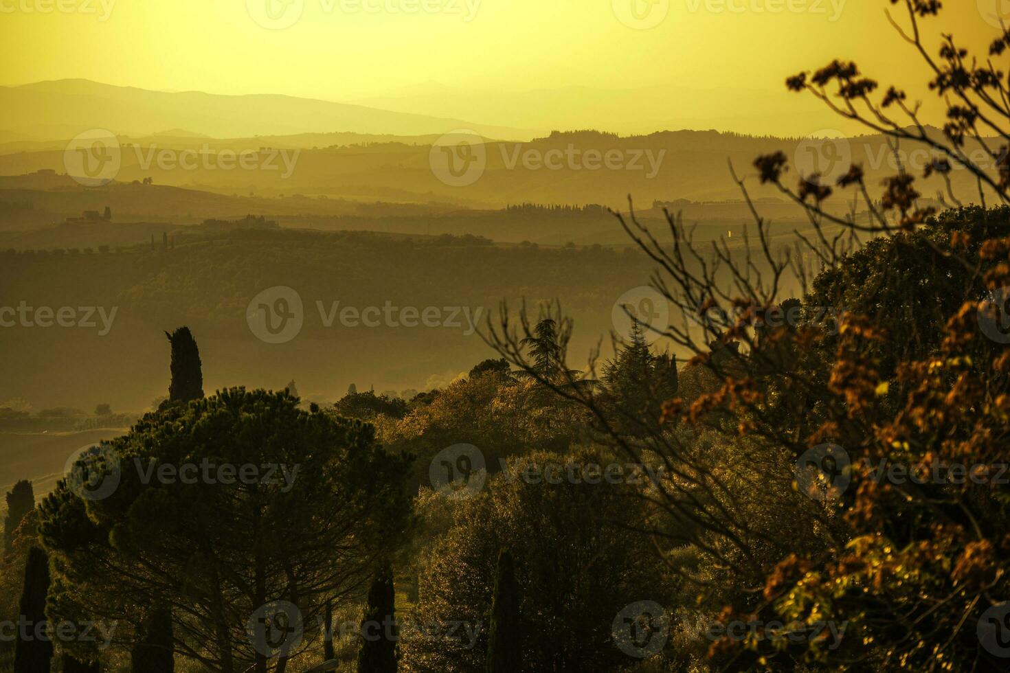 View Of Tuscany Natural Landscape. photo