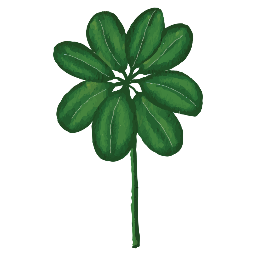 Tropical Floral Clip art Element Transparent Background png