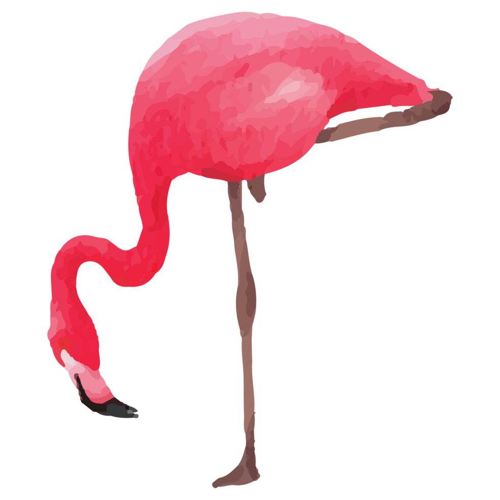 Rosa flamingo tropical grampo arte elemento transparente fundo png