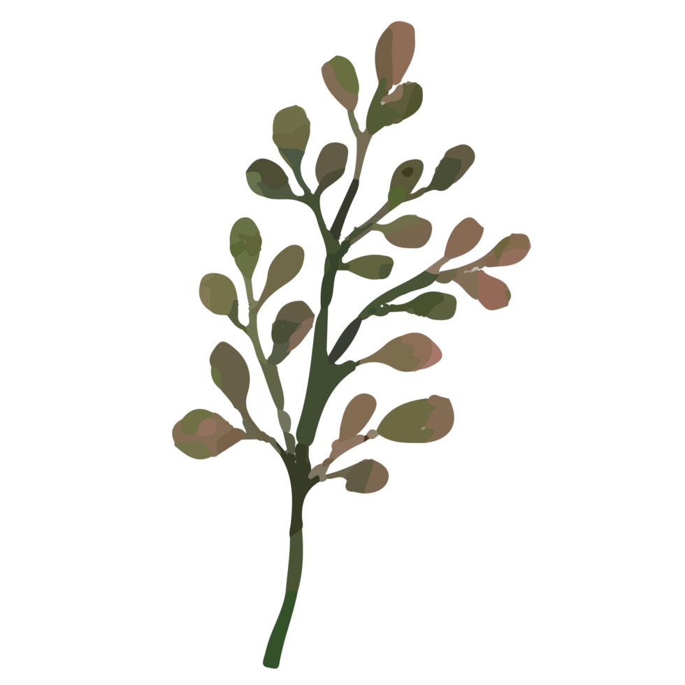 Flower Leaf Clip art Element Transparent Background png
