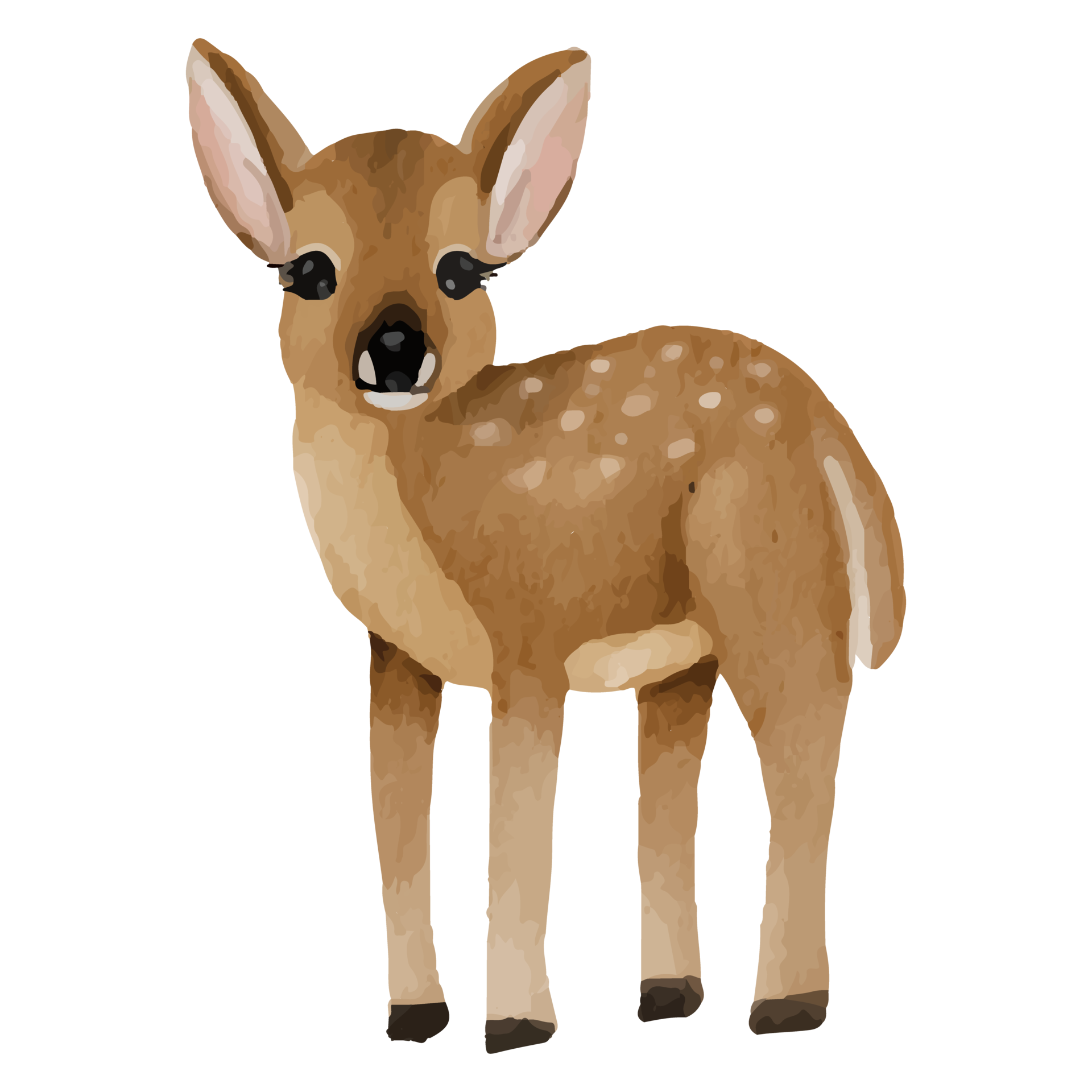 Baby Deer Clip art Element Transparent Background 24625638 PNG