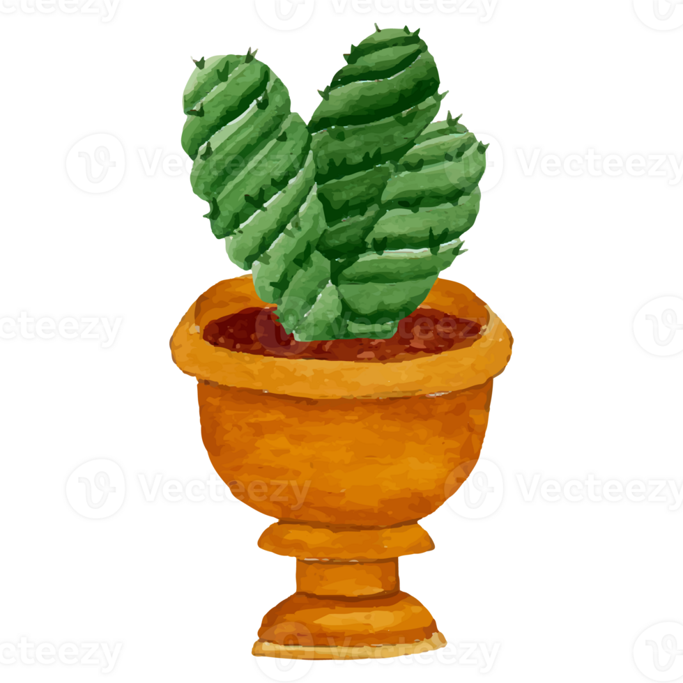 Cactus In Pot Clip art Element Transparent Background png