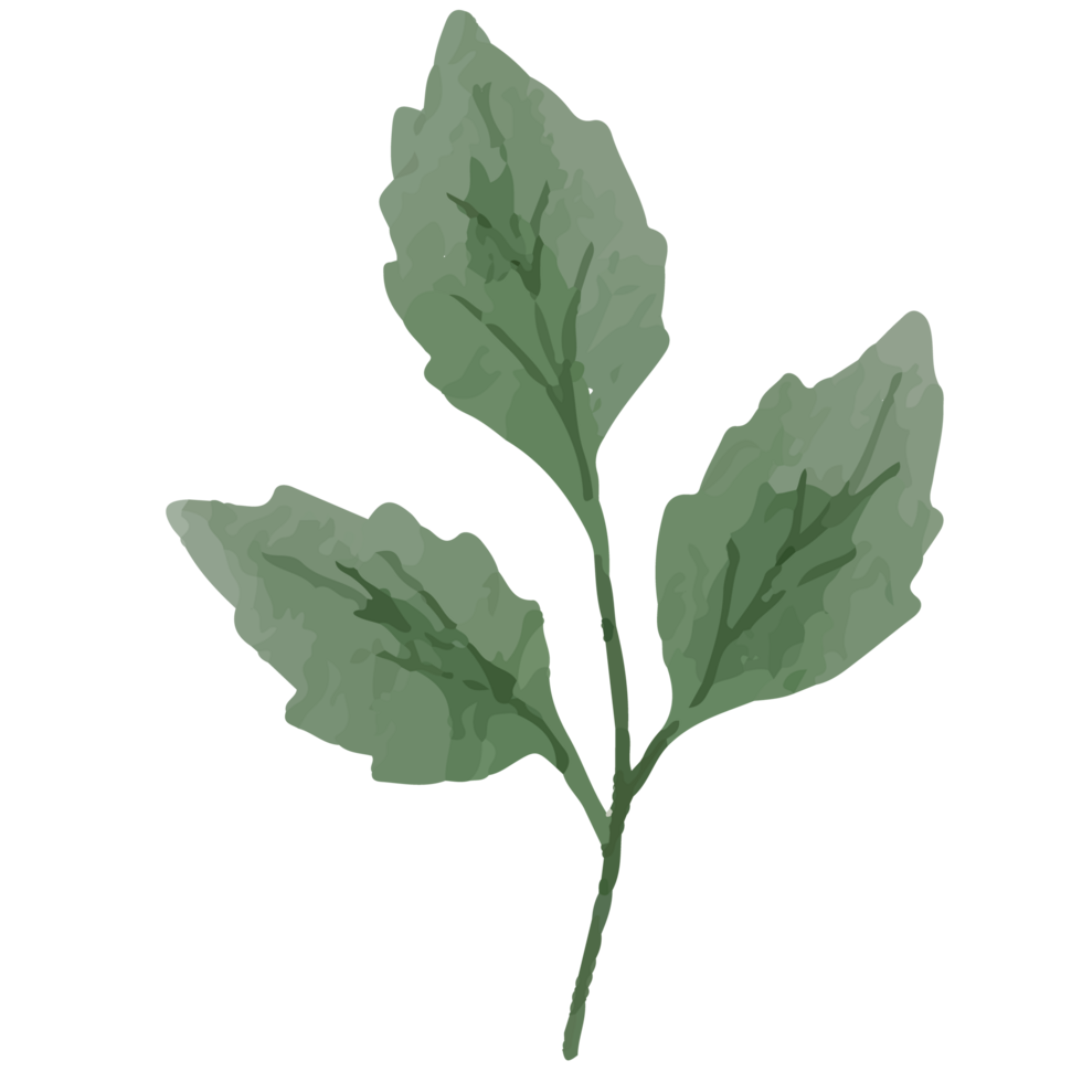 Flower Leaf Clip art Element Transparent Background png