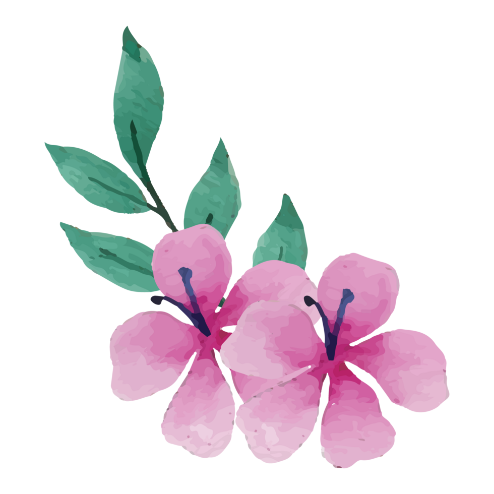 Flower Bouquet Clip art Element Transparent Background png