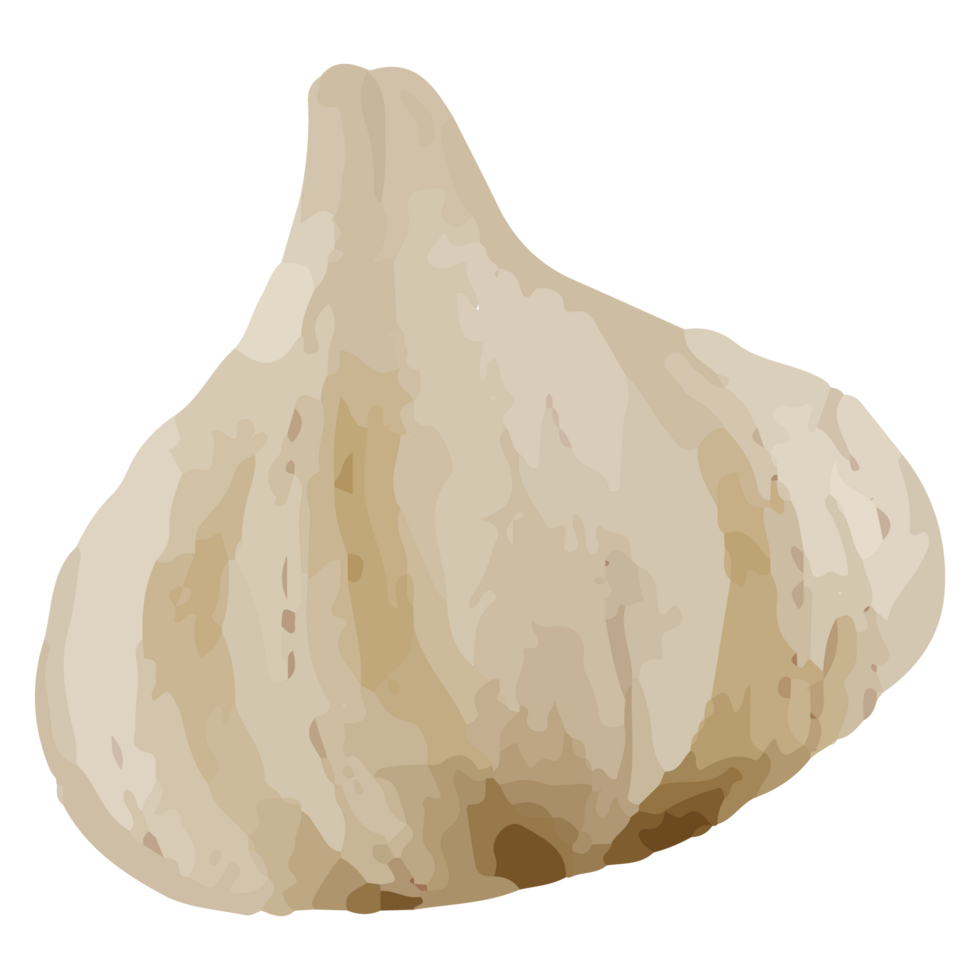 Garlic Clip art Element Transparent Background png