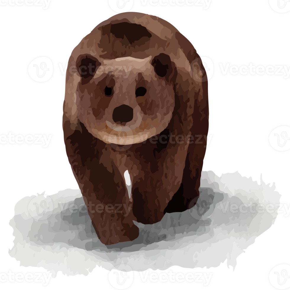 Bear Winter Animal Polar animal Clip art Element Transparent Background png