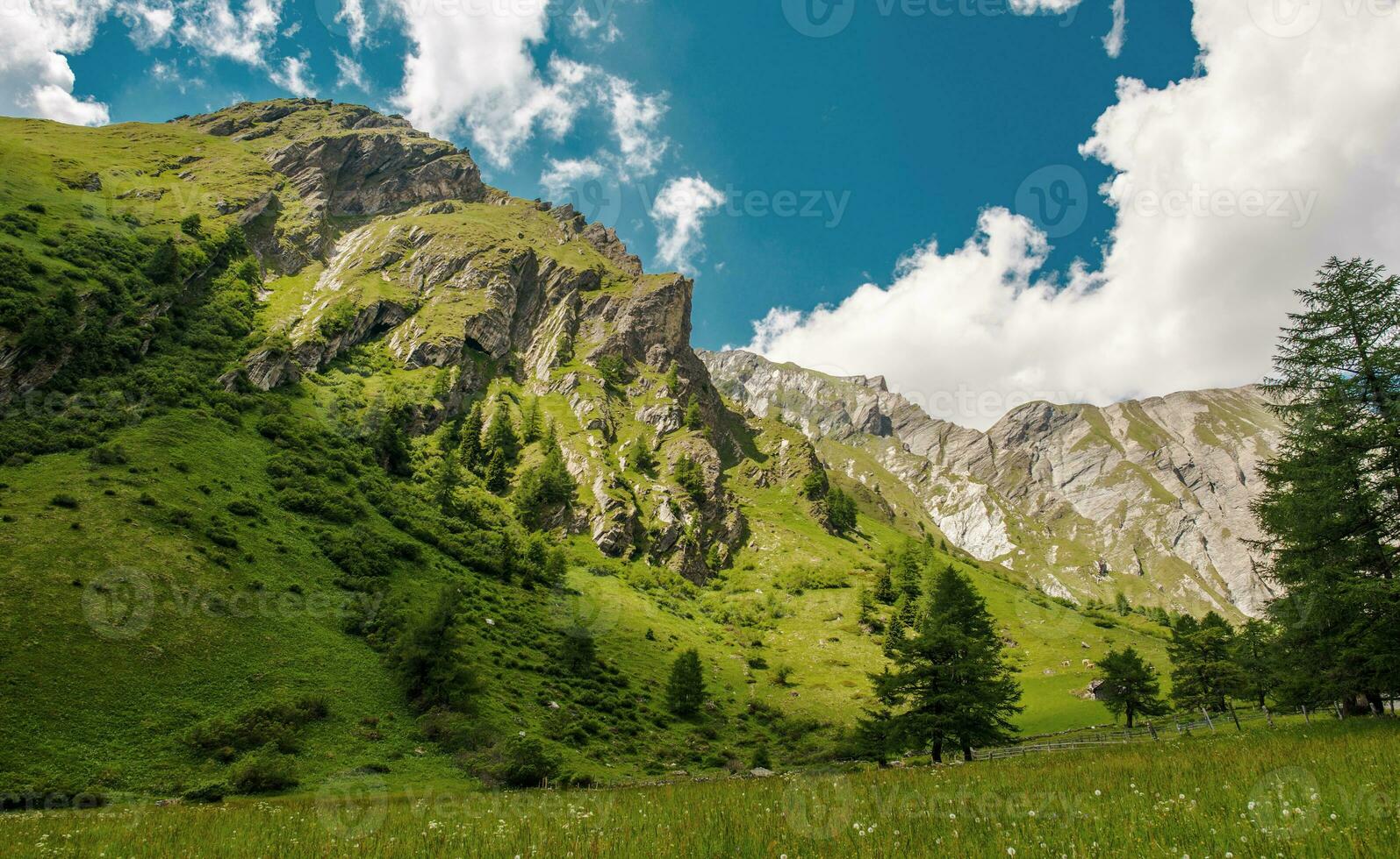 Stunning View Of Austrian Alps In Summer. photo