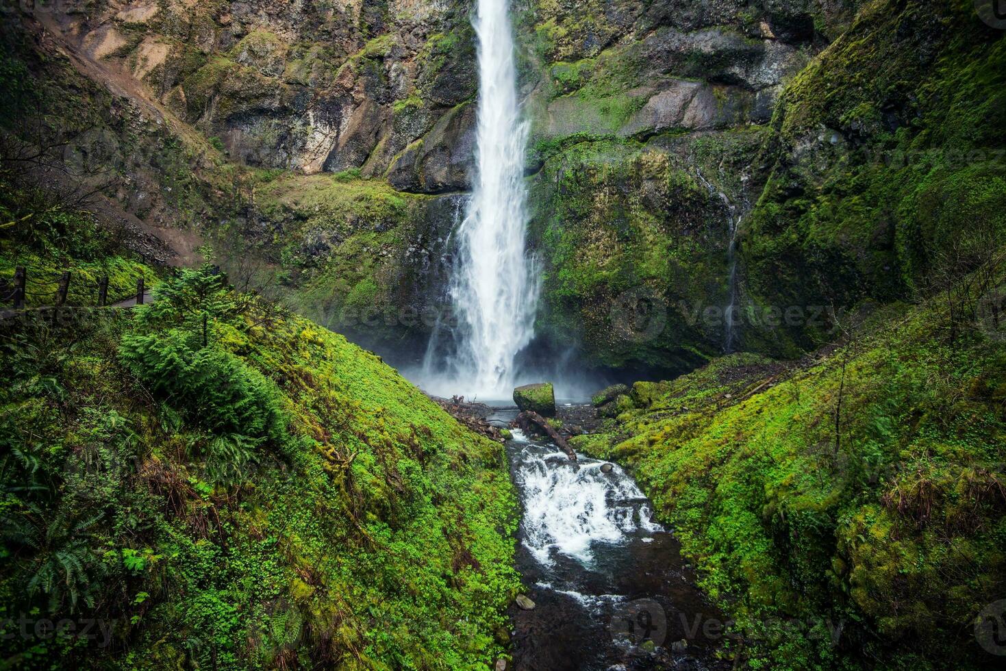 Mossy Oregon Waterfall photo
