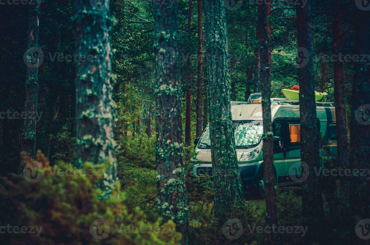 RV Forest Camping photo
