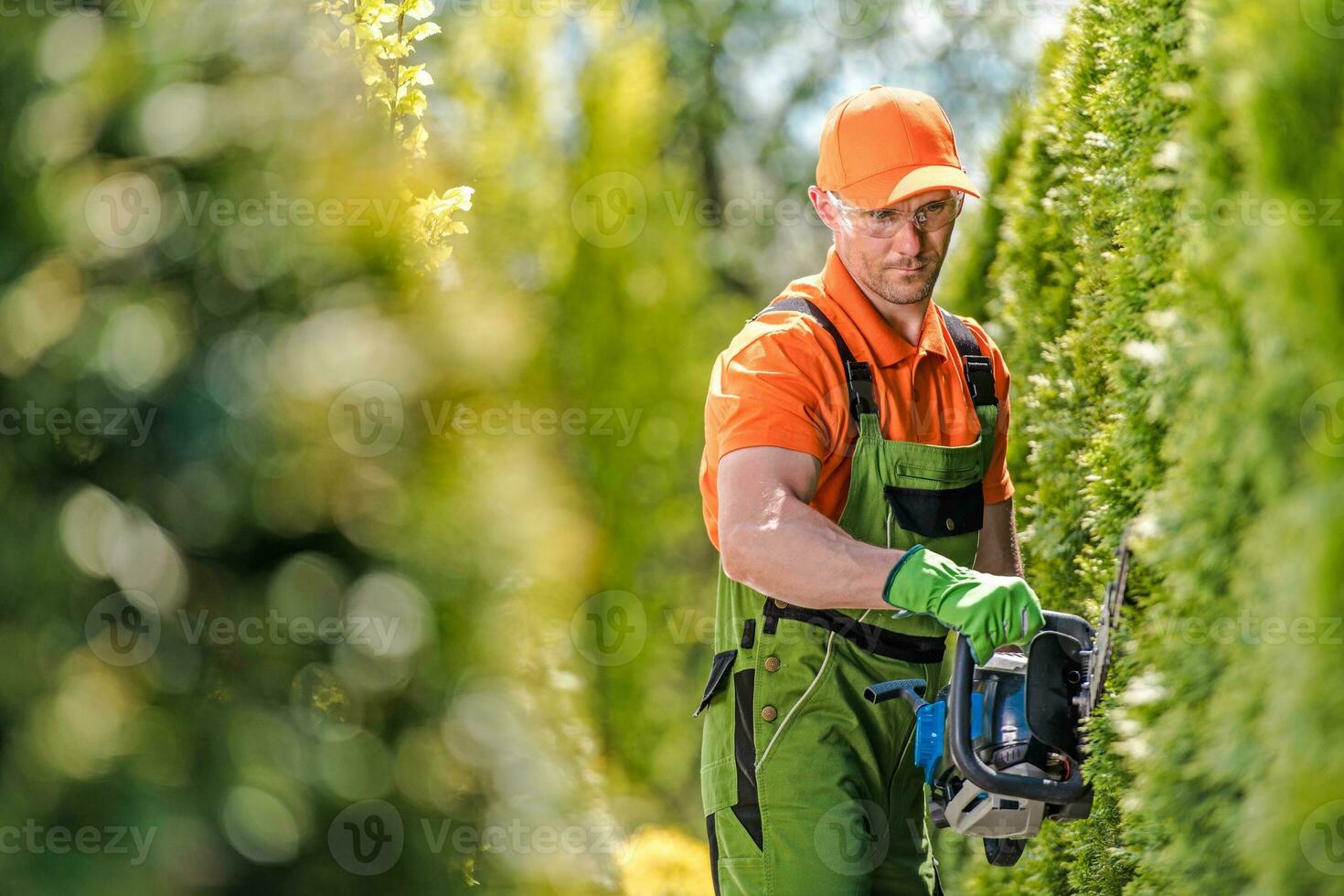 Shrub Wall Trimming photo