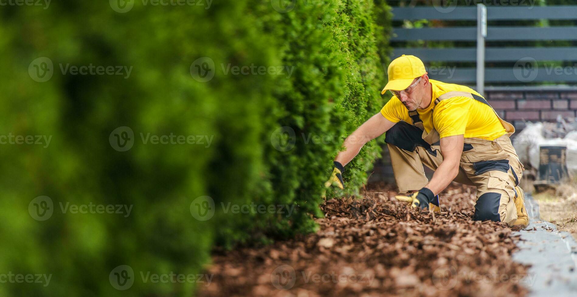profesional jardinero arreglando el jardín pajote en el frente yarda foto