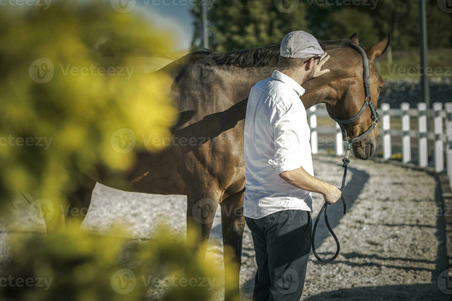 Caucasian Horse Owner photo