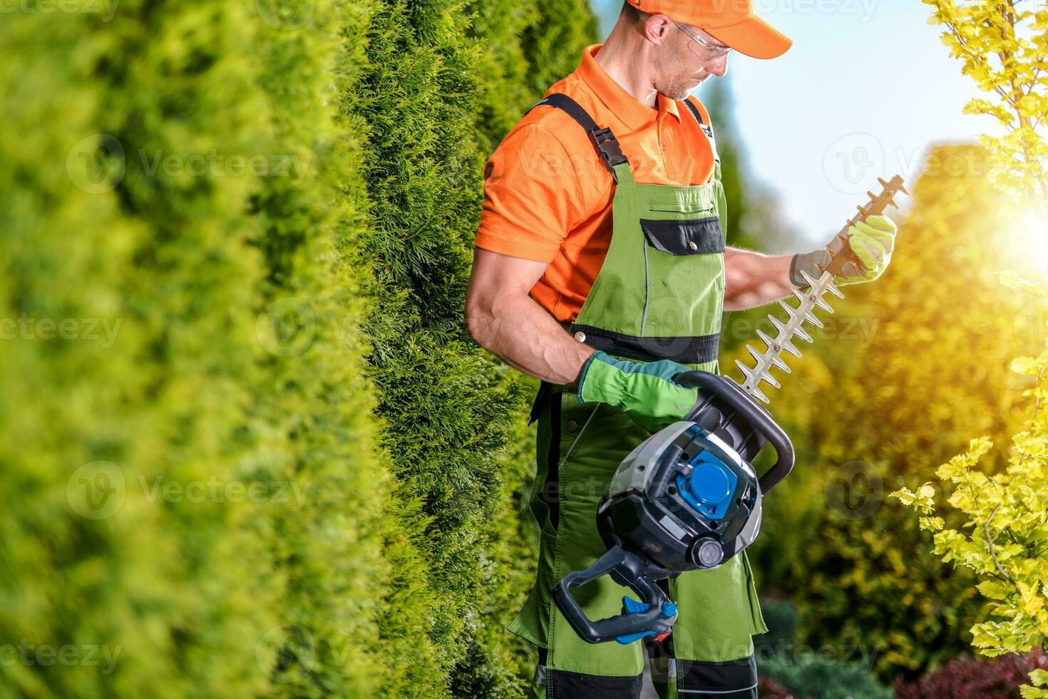 Garden Power Equipment photo