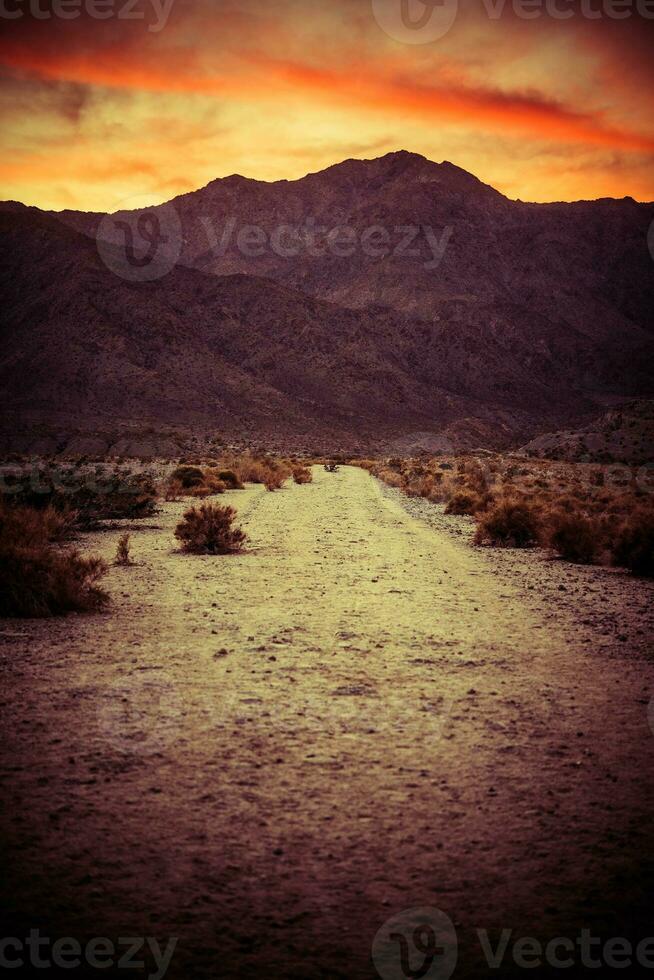 escénico Desierto sendero a puesta de sol foto