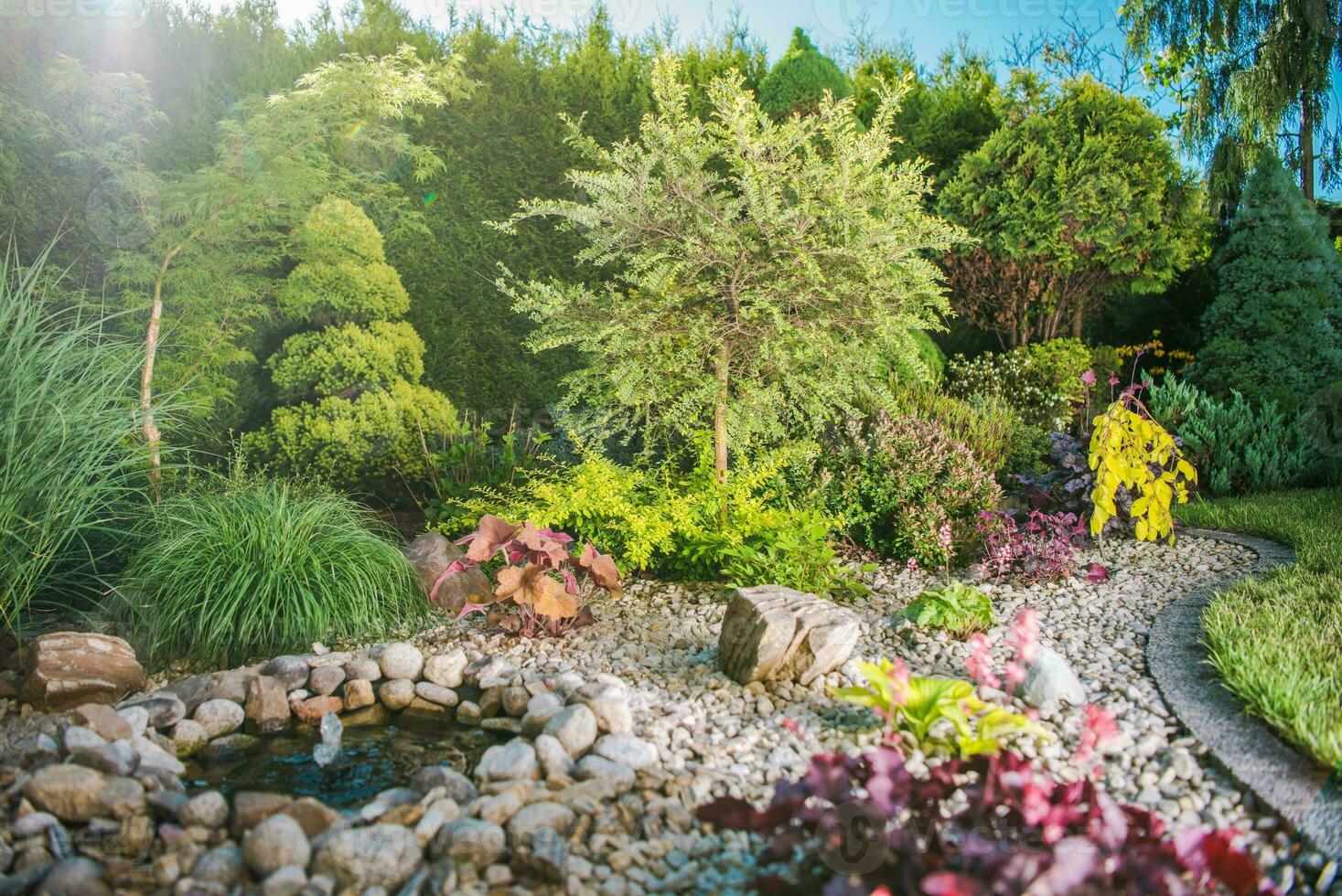 Creative Backyard Garden photo
