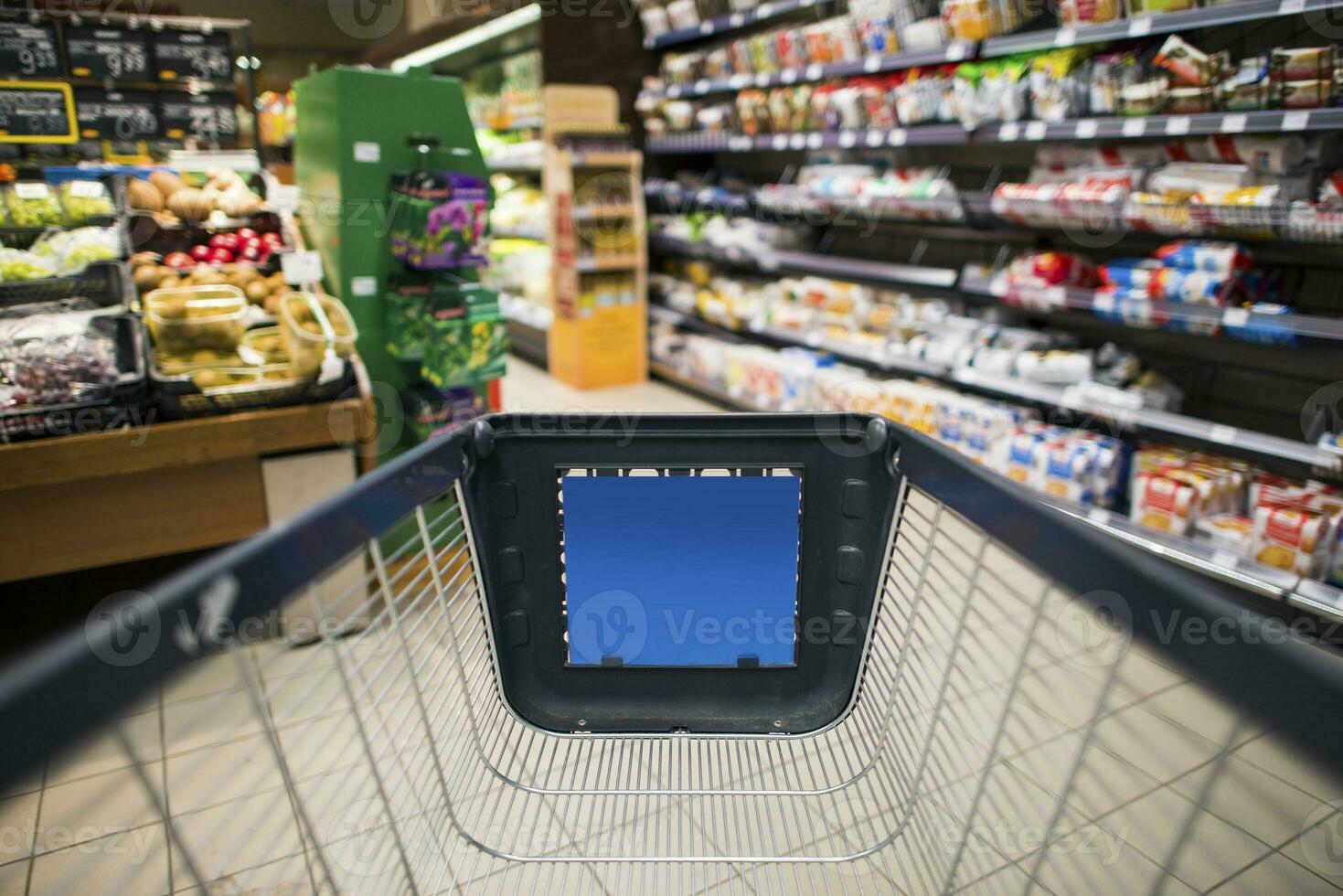 Grocery Store Shopping photo