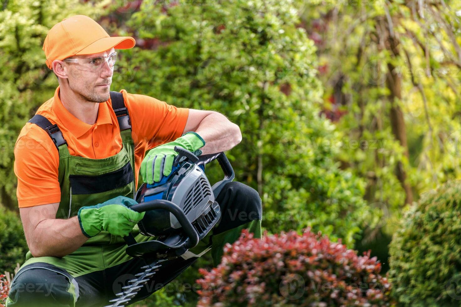 Garden Worker with Trimmer photo