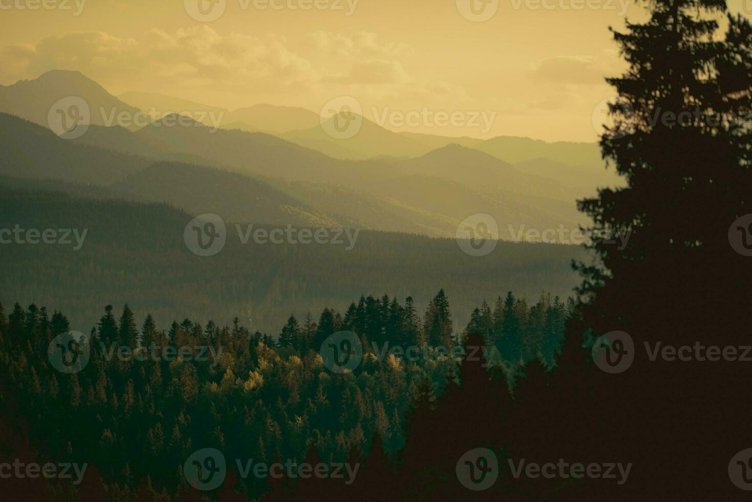Carpathian Mountains Sunset photo