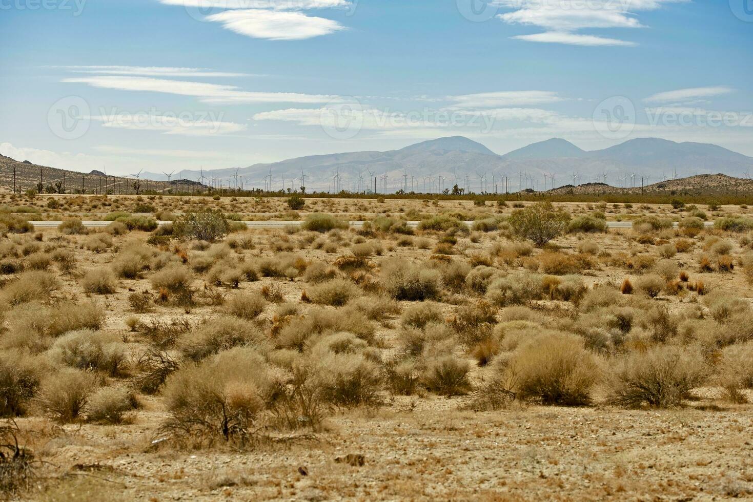 Mojave Desert US14 photo