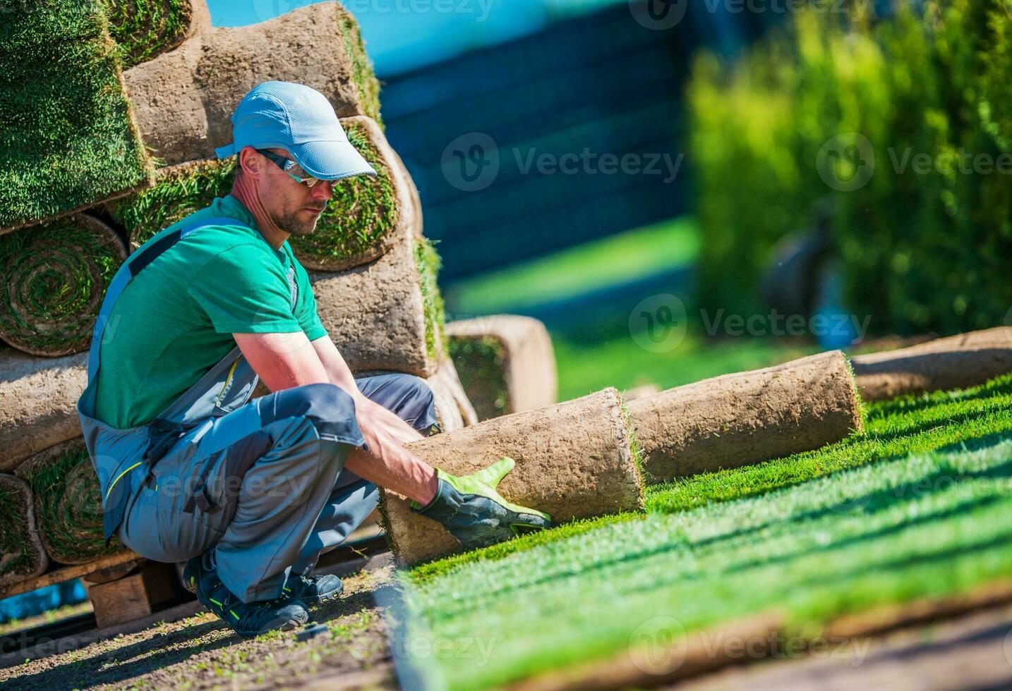 New Turf Grass Installation photo
