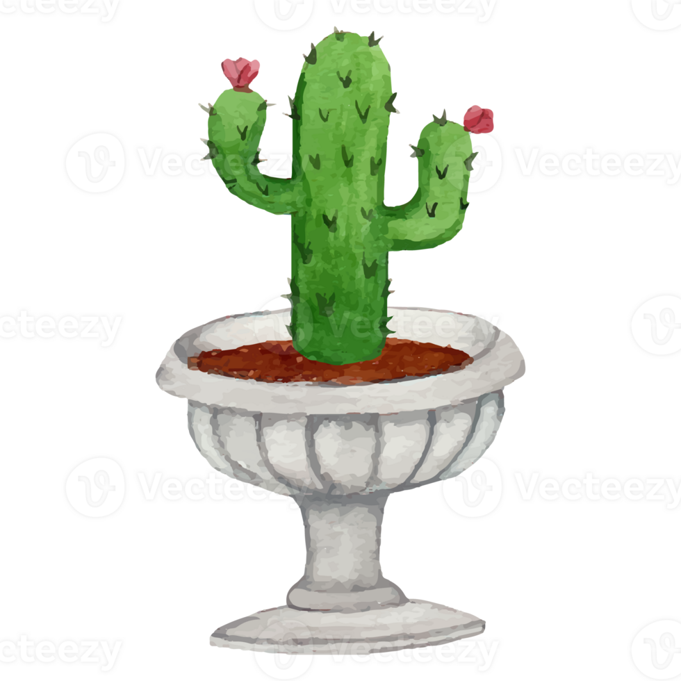 cactus in pot klem kunst element transparant achtergrond png