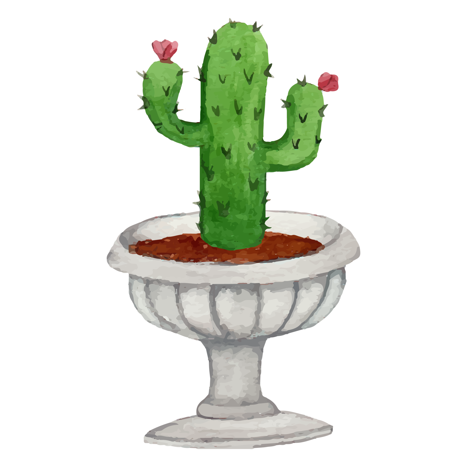 Cactus Transparent PNG Clip Art Image​