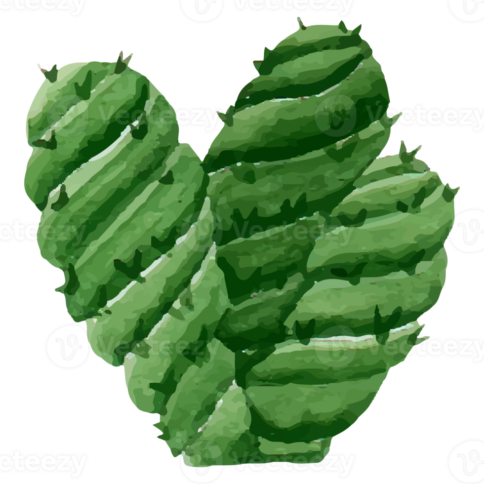 Cactus Clip art Element Transparent Background png