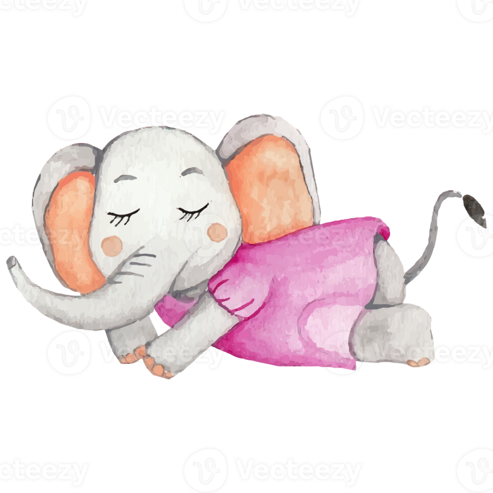 Cute elephant with a flower cartoon hand drawn Clip art Element Transparent Background png