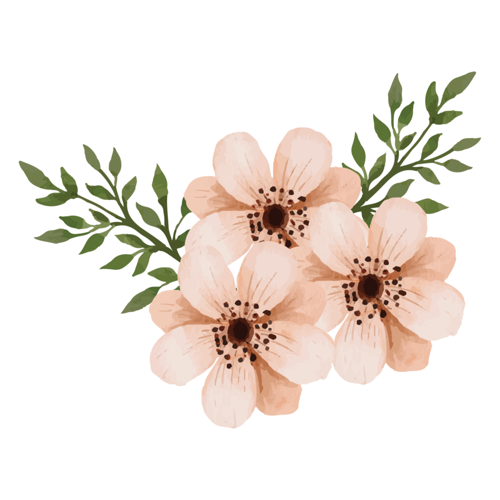 Flower Clip art Element Transparent Background png