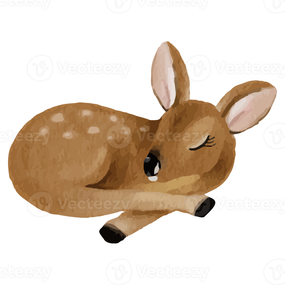 Baby Deer Clip art Element Transparent Background png