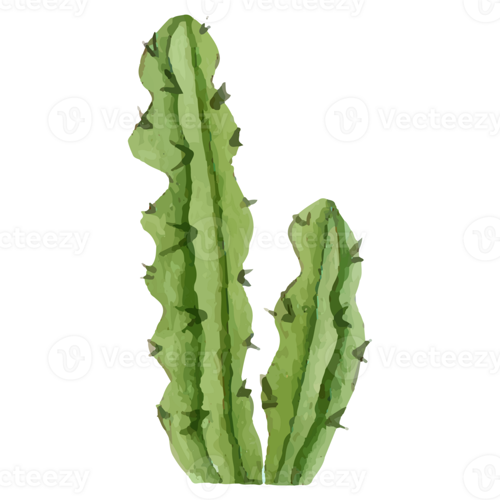 Cactus Clip art Element Transparent Background png