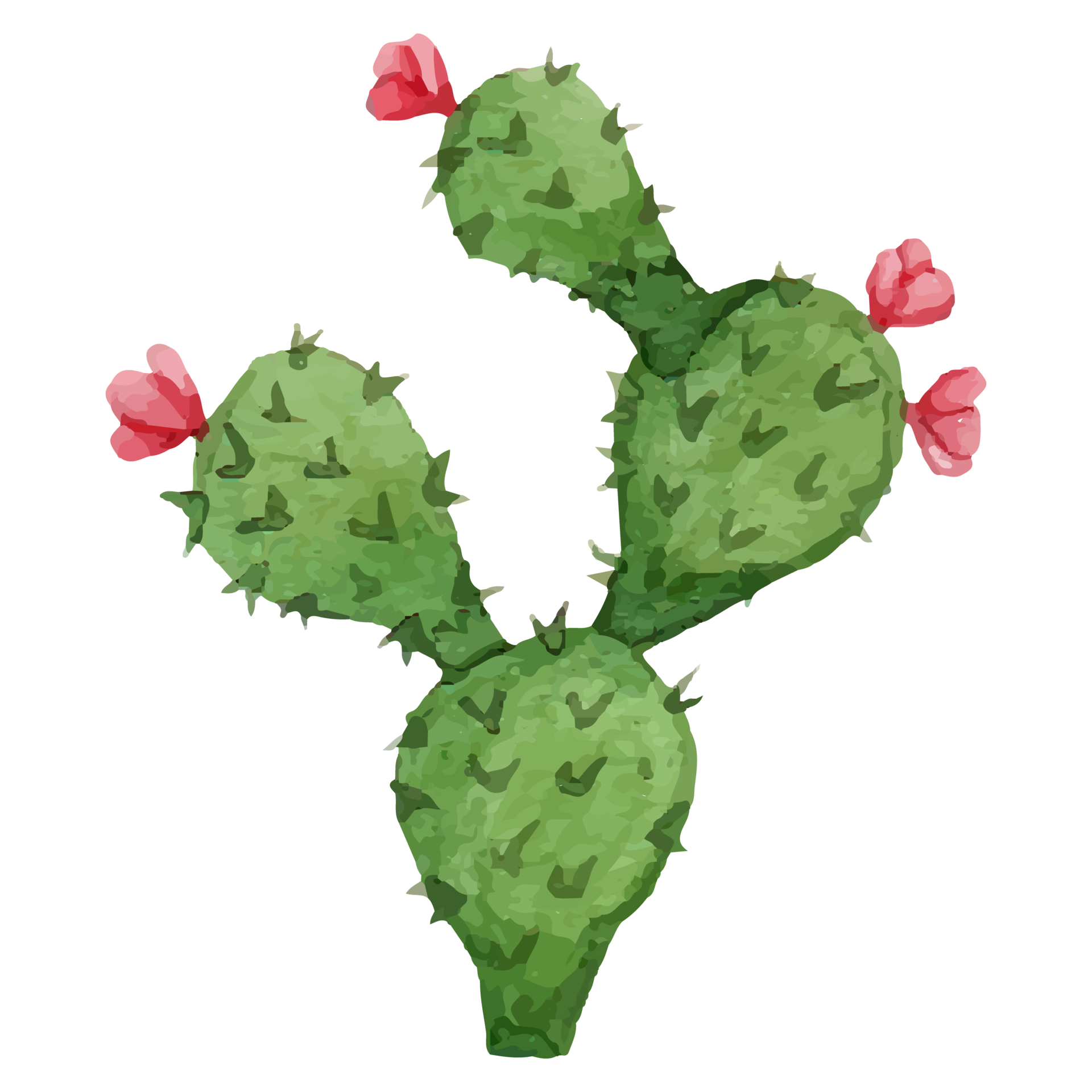 [Image: cactus-clip-art-element-transparent-background-png.png]