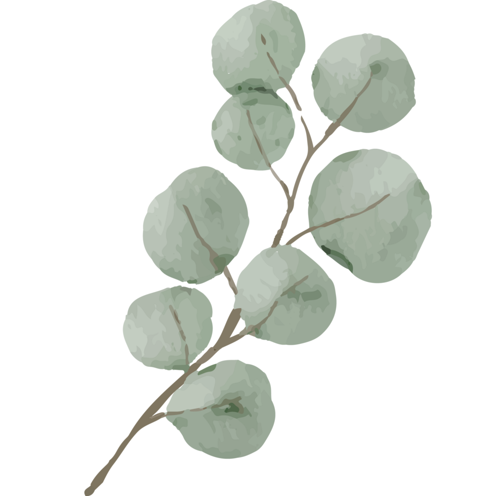 flor grampo arte elemento transparente fundo png